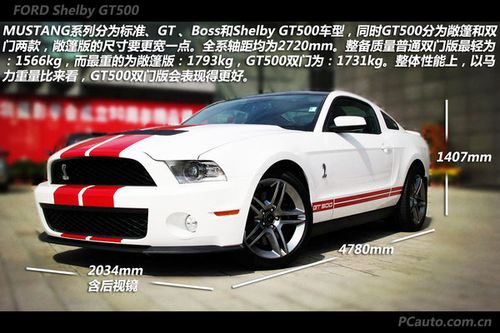 shelbygt500-shelbygt500车牌号